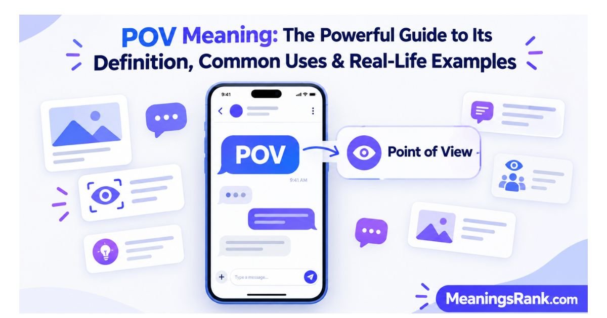 POV Meaning