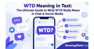 WTD Meaning in Text