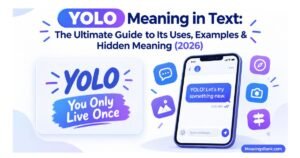 YOLO Meaning in Text